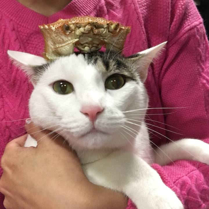 D82975d2 5b90 47a4 bf06 62d8487718ee 1514973685379