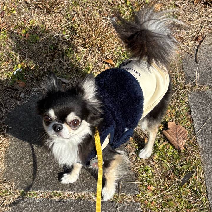 D829769a 1ad3 48af a67a d777a56ade77 1737302356631