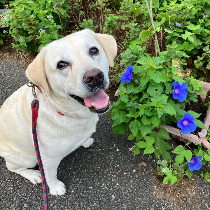 D82989ab 435e 4cb8 b821 350db58b1301 1660950575609