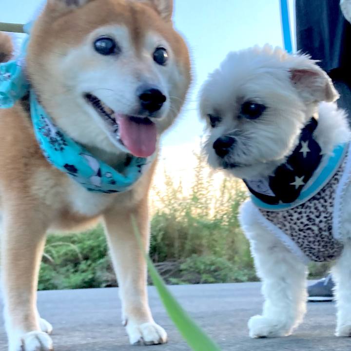 D829ab01 4d71 4fc6 bdc1 36f2cabcf38e 1692267235196