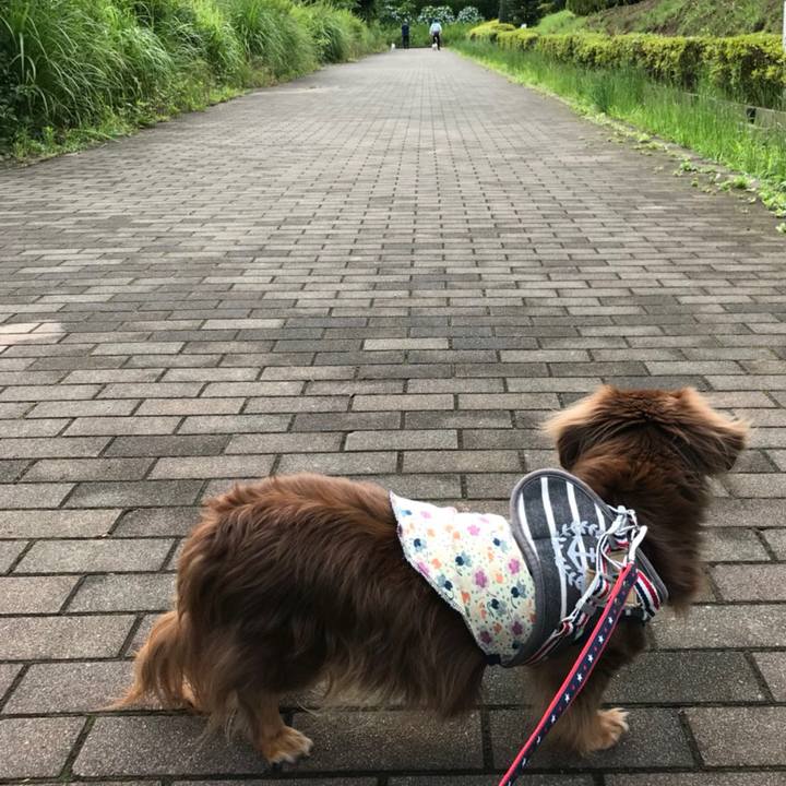 D829b407 b5a0 4158 87ae 1bf9e32a8d64 1529360773425