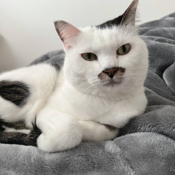 D82a074e ec0f 41a2 a417 ad5b37f65f2c 1636428095165