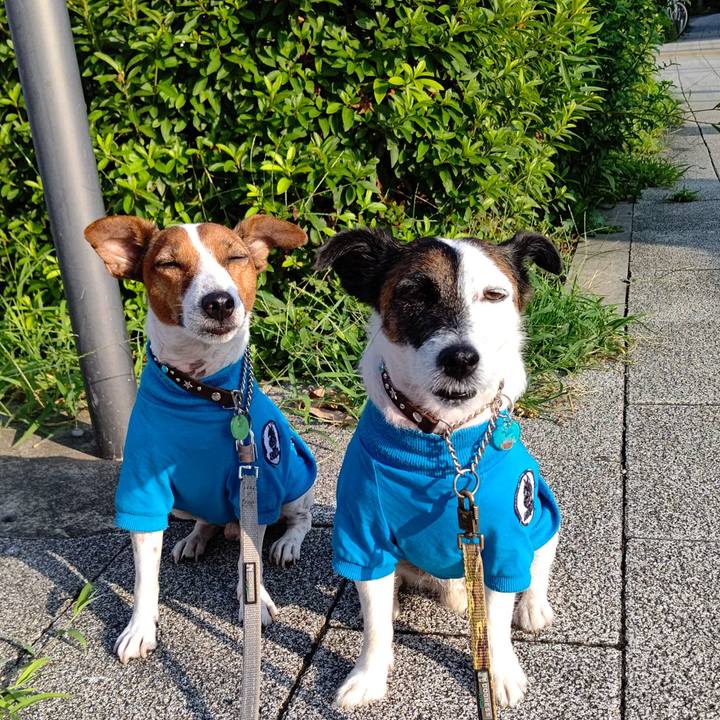 D82a0de0 6e26 47ba 8e25 aa5c270db970 1658526520230