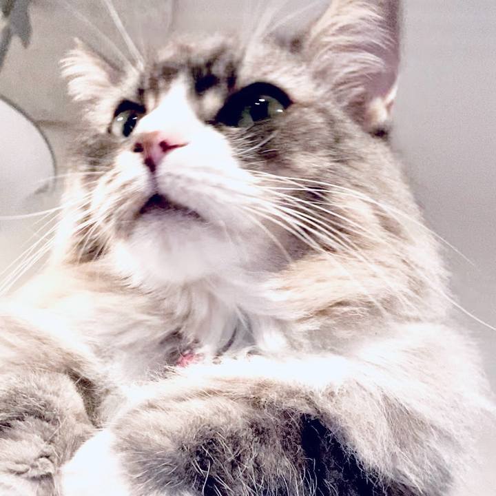 D82a3e08 50c0 47fd 82bb 386c6e54f103 1760111441145