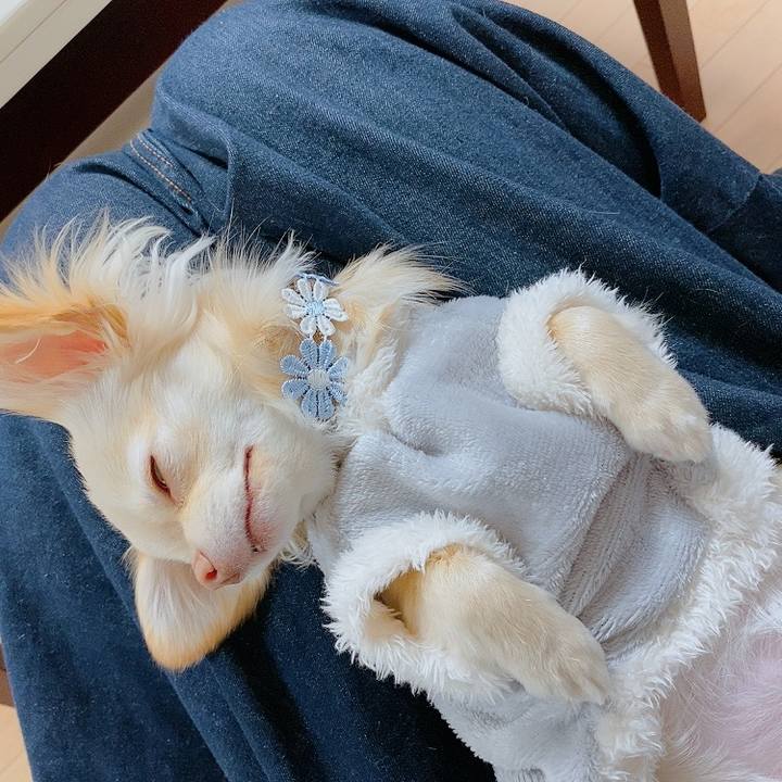 D82a7b9d 915c 4c23 b166 c7b0b1be99f2 1613726319379