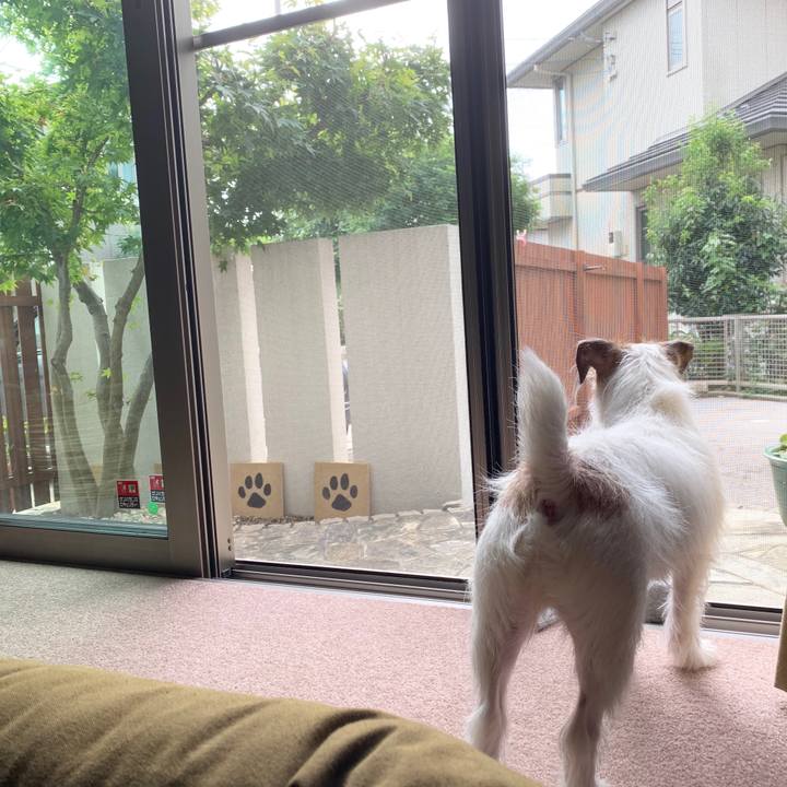 D82ac681 0bef 4086 ae8d 8b91bf57eced 1570408168213