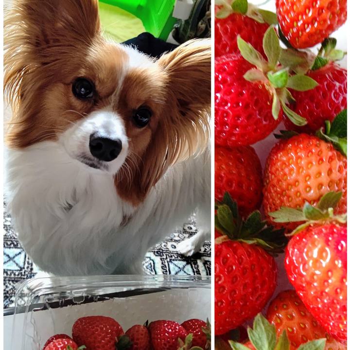 D82ad0c9 431e 41eb a1c8 c12cf4fd41cf 1651506147301