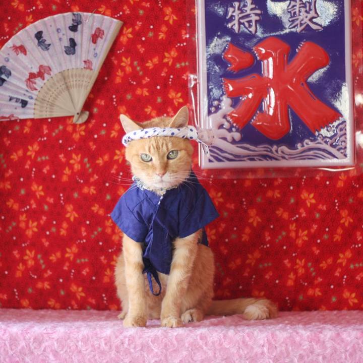 D82b4fba ced6 44a6 843b 0234da168ea7 1688290687984