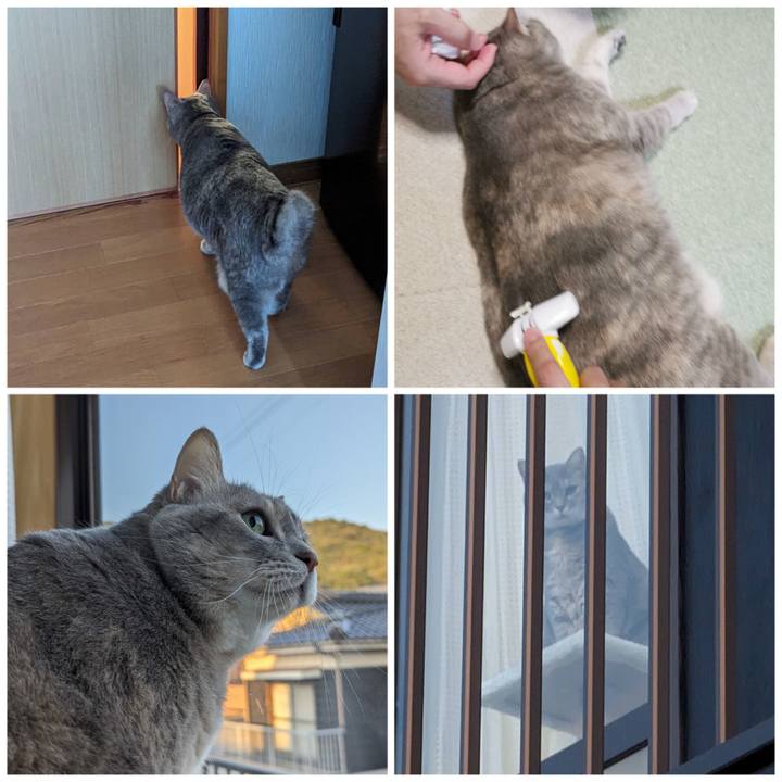 D82b5eac 7188 4e86 9233 50f000558573 1697687614156