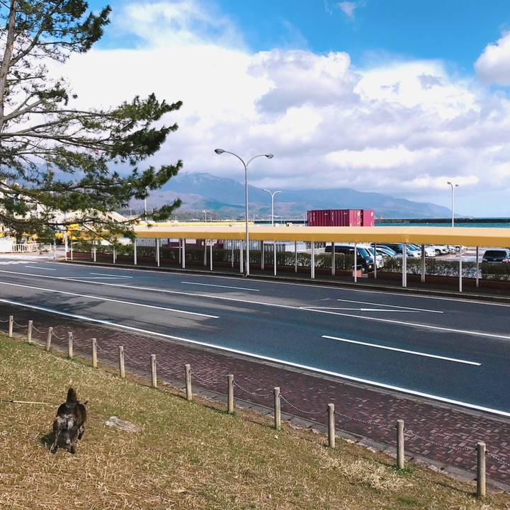 D82b9afd 32d4 4056 86fc 88a4055852d3 1554008604918