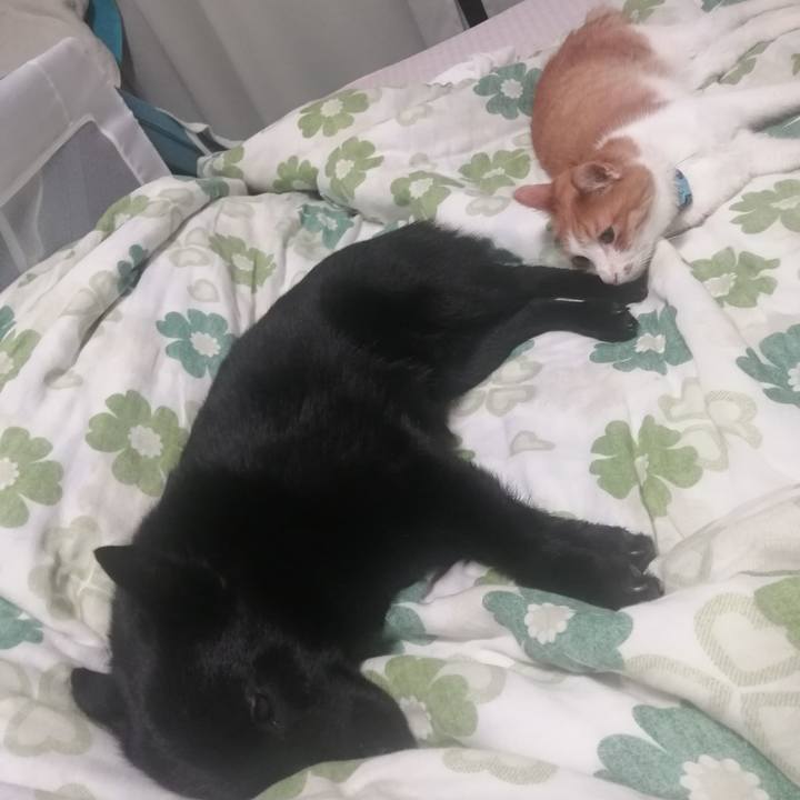 D82bbfa7 0e98 42e1 843d b3224cb362bf 1622813187369