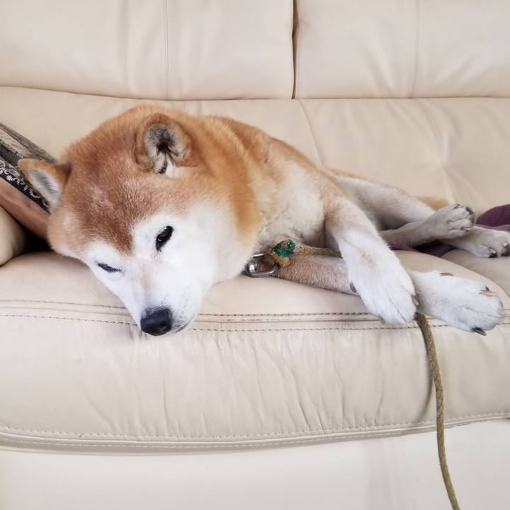 D82bd03f 15bb 4faa 9794 cbdf44ca774c 1674517085245