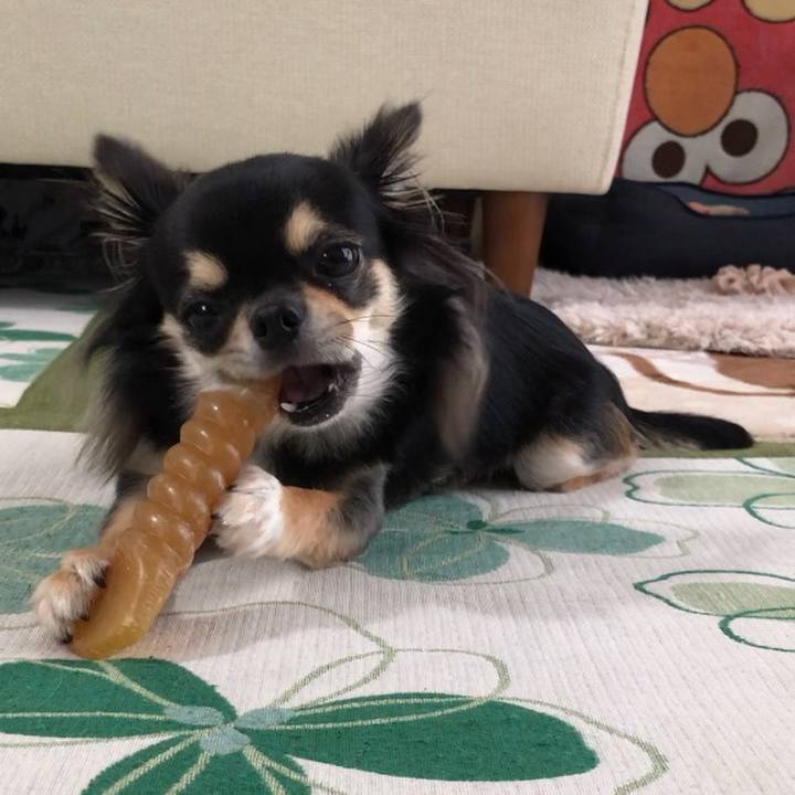 D82bf662 af73 4e4d b68a 0b694f08cb16 1566005722284