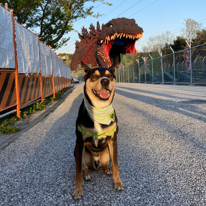 D82bf72d eb5e 4d8e 80b8 696c5932bfa7 1617794189476