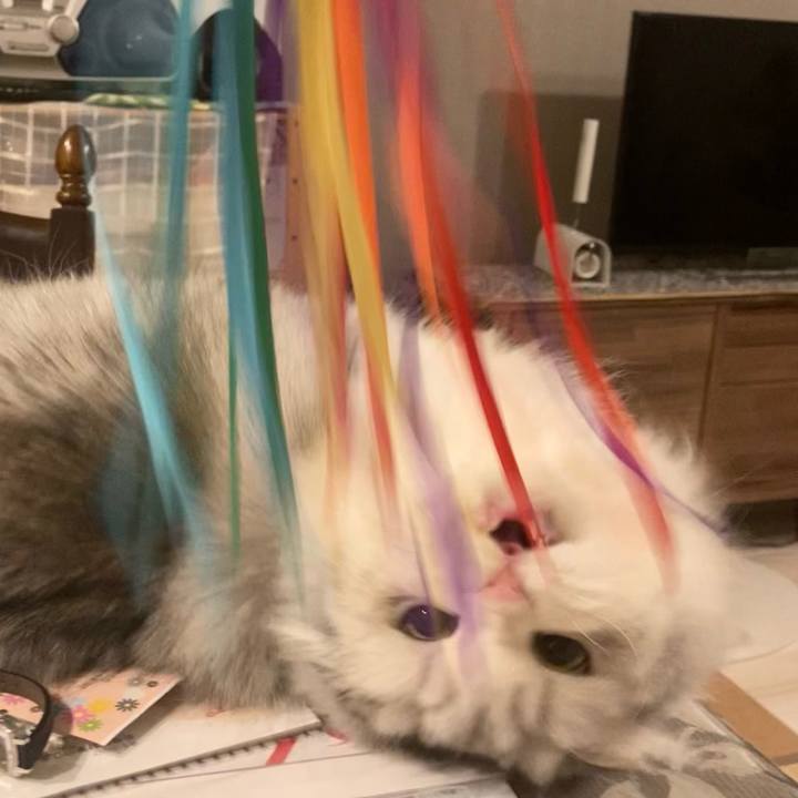 D82c0c94 e303 485a 9b12 0742198988b9 1674827436333