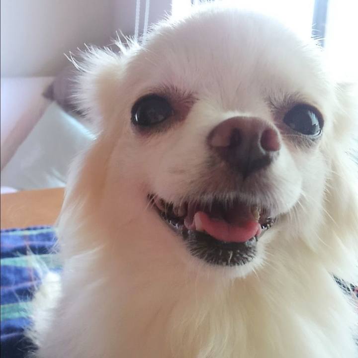 D82c3e4a b729 478a a198 986aa46e6a87 1667701534725