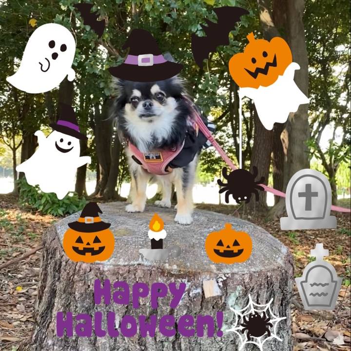 D82c5d7c 5c6c 413d aaf1 1963c758edba 1635656592131