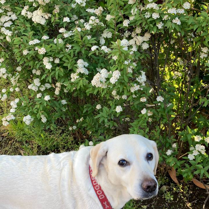 D82cad12 2999 417a 8744 432f7ddd7968 1746322621201