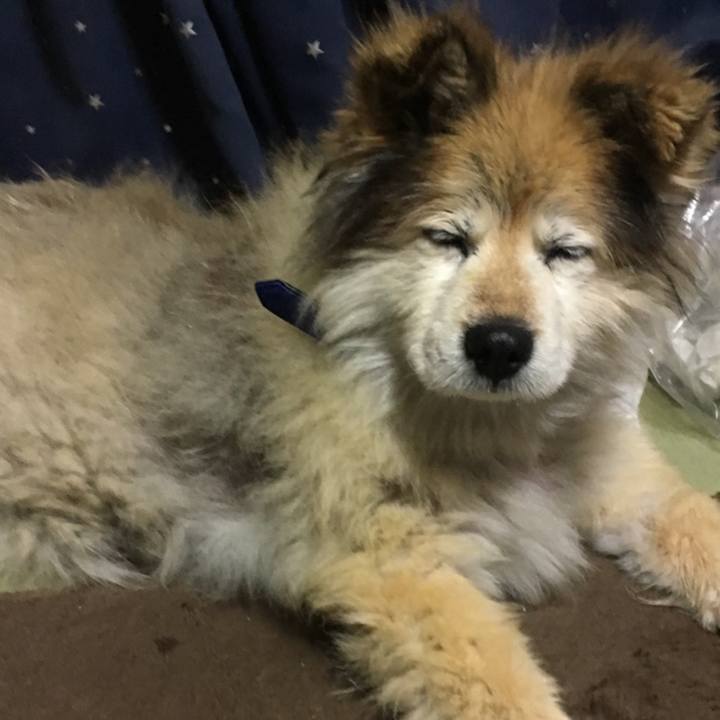 D82d280e d1fa 4931 9967 cde4b9ca6dc2 1611971715231