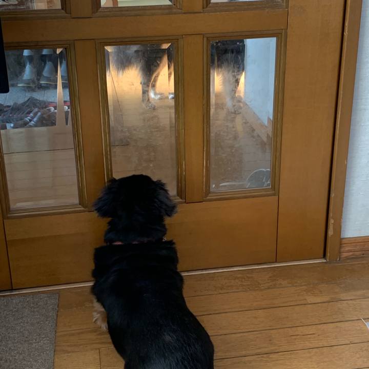 D82d4162 4f78 482c bb09 a6d47c778fb2 1604789397485