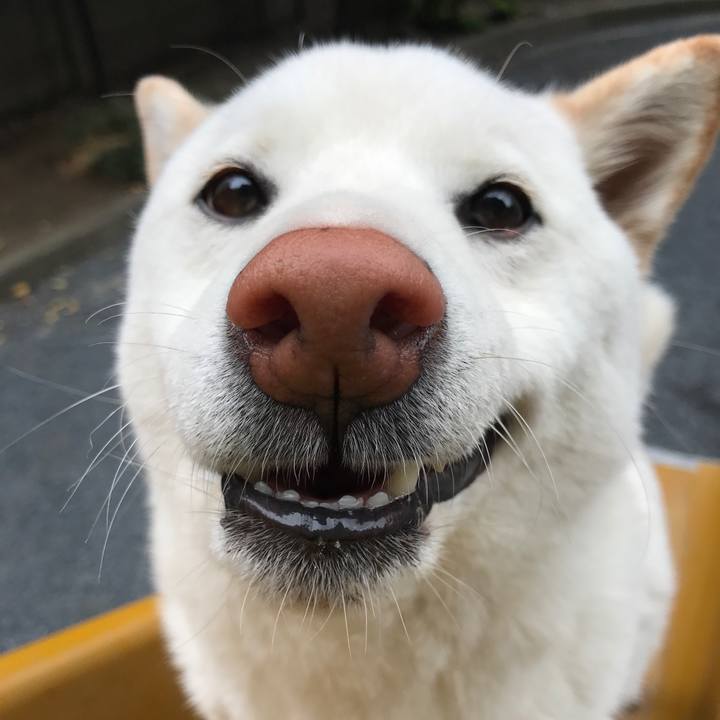 D82d434c 97dc 430d 9197 05a4692c3b02 1524440417326