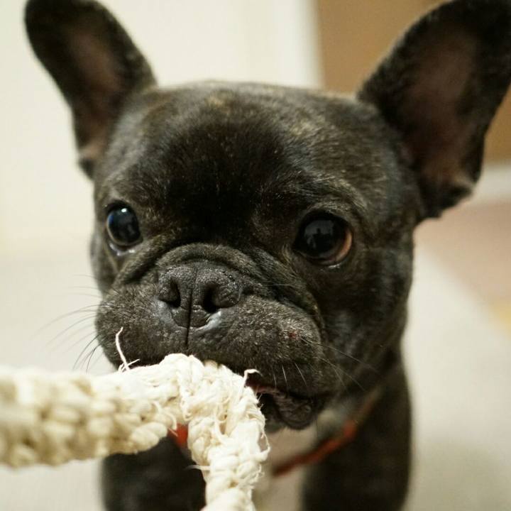 D82d6c85 2d38 49e3 b197 3d658e1b16df 1520423908112