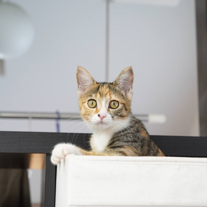 D82d7693 ab1c 4c15 bdcd d3be840a7280 1572164533643