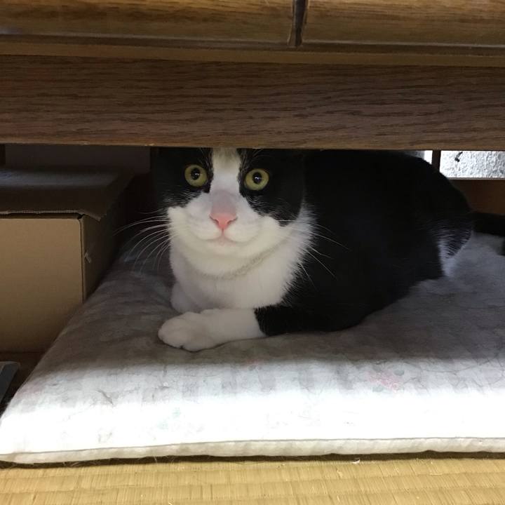 D82dd0d5 b57b 41a9 a941 bbb7d23ce666 1654674604530