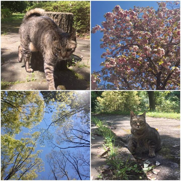 D82e0899 8dc6 4b73 bac9 f3858552e03d 1588061759489