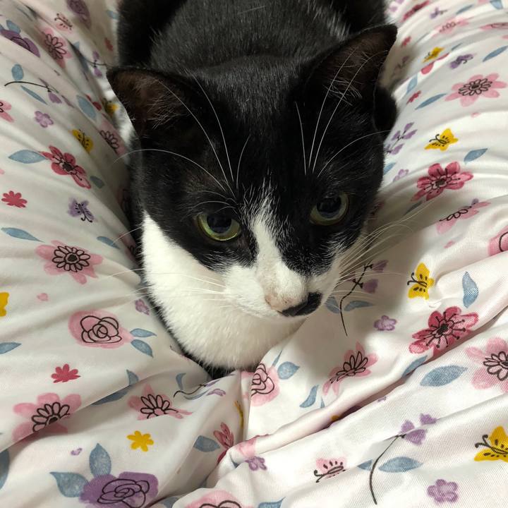 D82e16c3 584a 4e5a 9cab 8a6c3abe97df 1531399203480