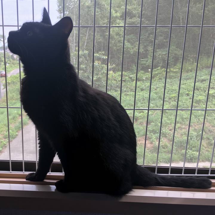 D82e238e efc3 469d 8a90 3a0fb45711ec 1534039701515