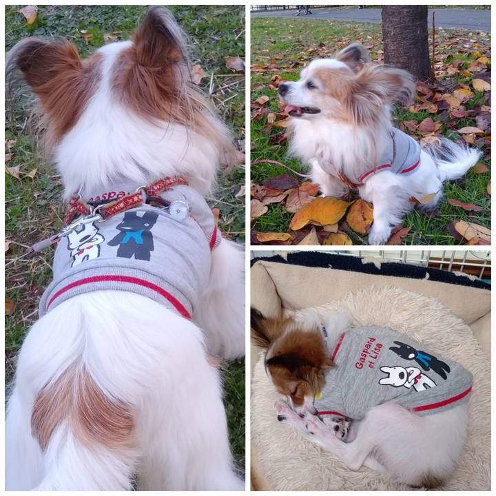 D82e25ab 8cfc 4246 9676 fa60796b2a8b 1604071280408