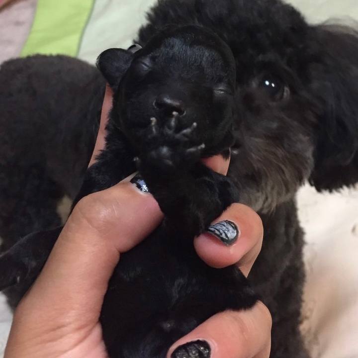 D82e5975 26f8 4514 857c cd39cfd36d01 1623031674392