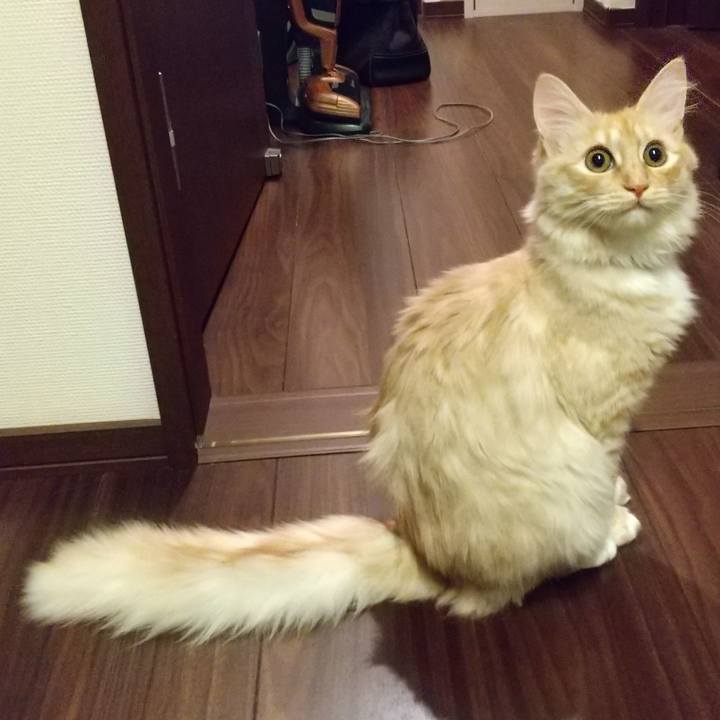 D82e9f46 05ae 4122 ada1 551953f24f99 1618748692691