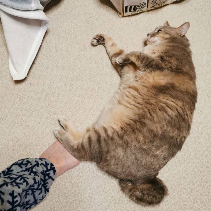 D82eacad d658 48f3 84e6 266fb51fadb0 1641999107119