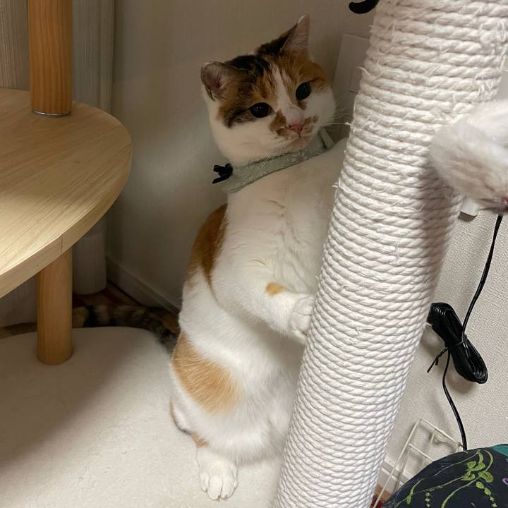 D82ef727 160e 4d39 a7a2 1508709926b5 1672326041046