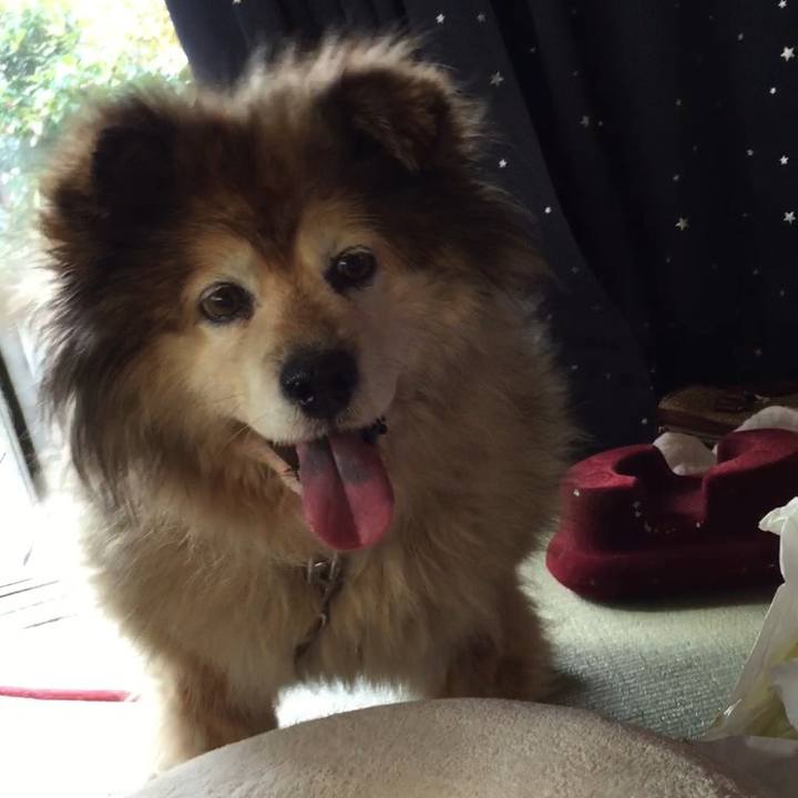 D82f1faa e72f 41b8 8029 292aeabc3ca7 1570148196022