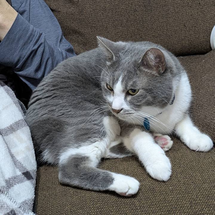 D82f2f59 4394 4aa3 8f58 ae6ed7937789 1772540640828