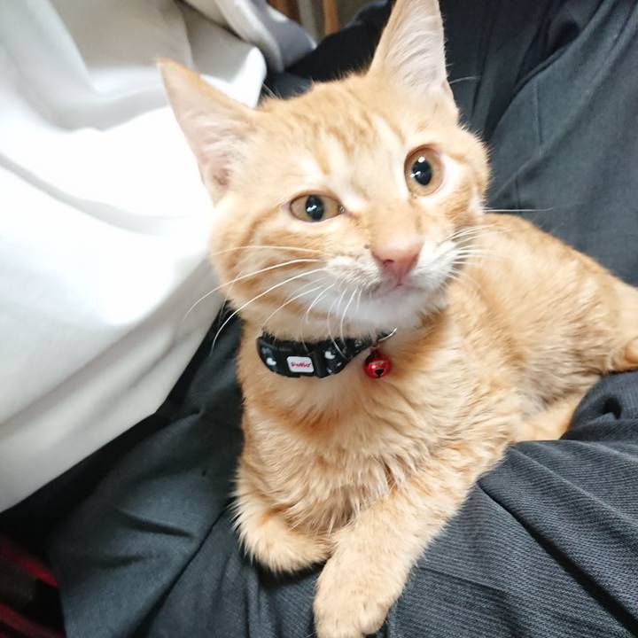 D82f3628 26af 4ce6 a96e 7de41ca6e4aa 1634162266339