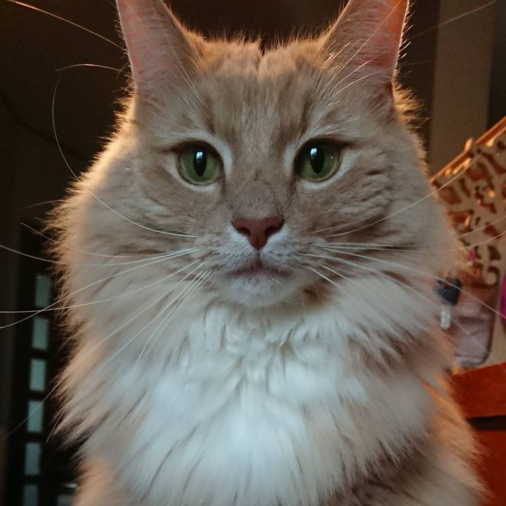 D82f98e9 6ffd 48b6 a7c7 9390563cf921 1555230243075