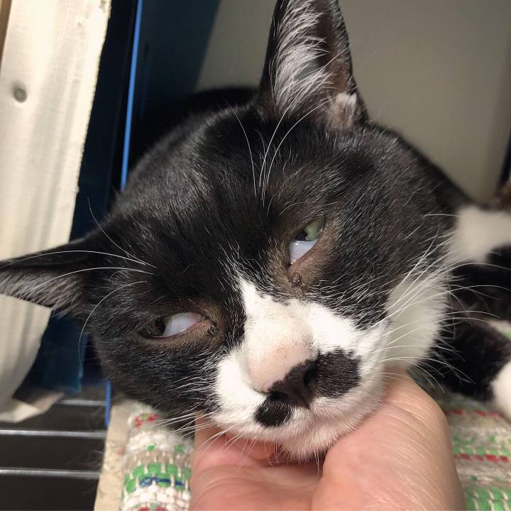 D82f9fc0 2398 4ba6 b1a5 4c301d95611f 1570720137766