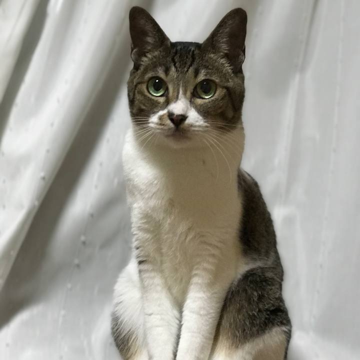 D82fb654 4a1f 41a1 9c52 32cf126a4aef 1537060863229