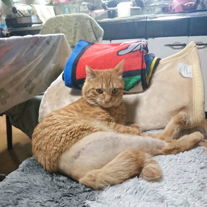 D82fd459 5f52 4b77 bdbf af3640a1b60f 1655109730284