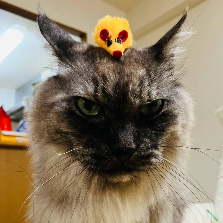 D82fdf6e d51d 4246 9130 6d36cd0b0979 1742728417947