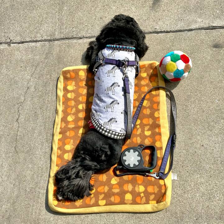 D8300cf4 83fc 49bf bed2 8b2a90fec569 1615699030475