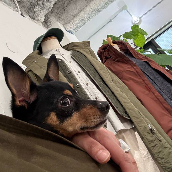 D830377a 826f 4a8a b87f f044a0c9c8f3 1773321871145