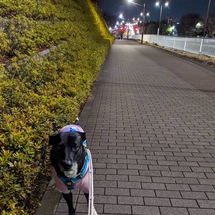 D8304586 91ac 409c 9069 e60fbbbc4e52 1672396932422