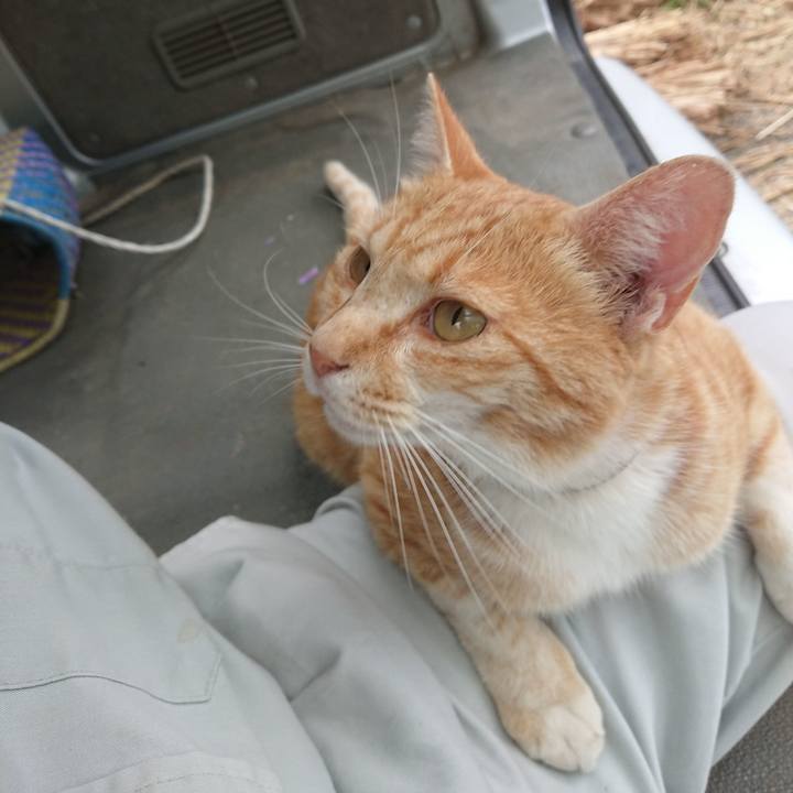 D8304c32 f11d 4a42 bddf 00054314acee 1592557515171