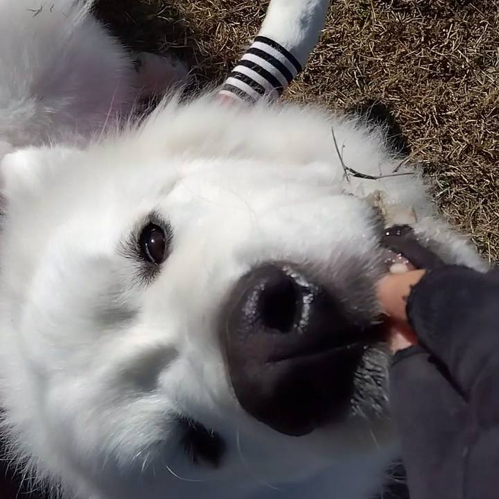 D8304e5b 11be 4c92 918e 2f1b9acbb7d0 1672952138266