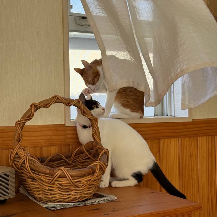 D8305e18 b77b 4de8 8f3c 1506b2cd66b7 1761024322527